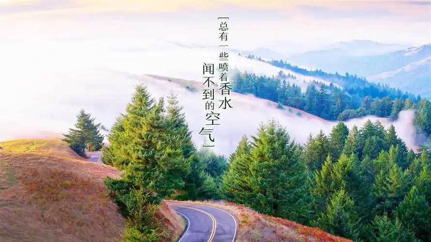 63m上传时间:2020-06-16壁纸标签:文字语录文字控壁纸封面图文字 语录