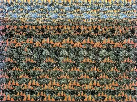神奇的裸眼3d立体图