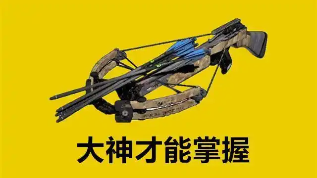 最后要说的难度极高的枪械搭配是用"十字弩"搭配任意武器,它作为"使用