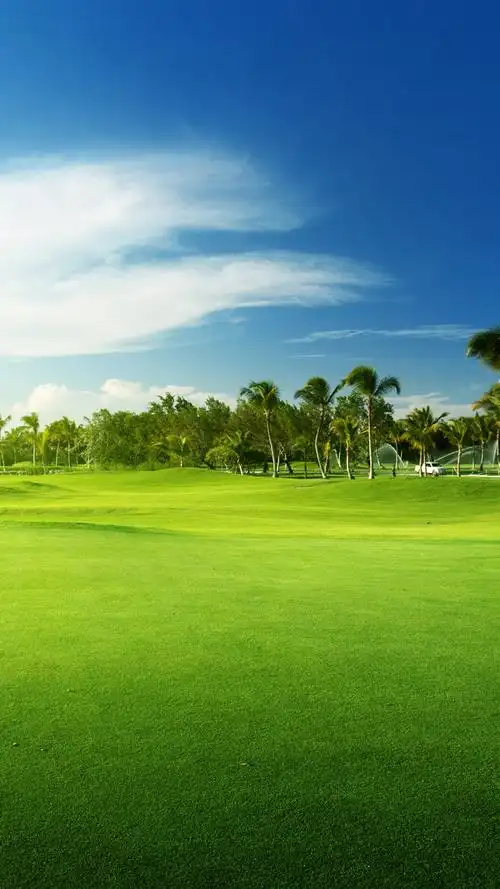 护眼壁纸,护眼,草原,清新,手机壁纸绿色保护您的眼睛