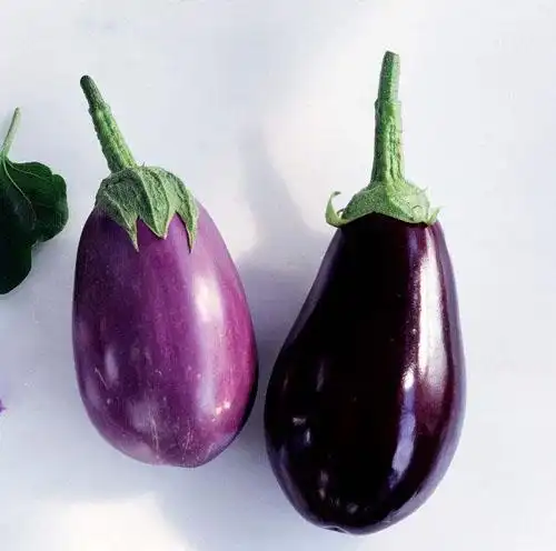 种子黑色椭圆水果茄紫鸡蛋茄子华星早茄春播家庭园艺种子