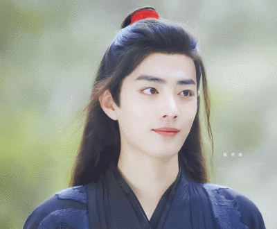 肖战陈情令表情包