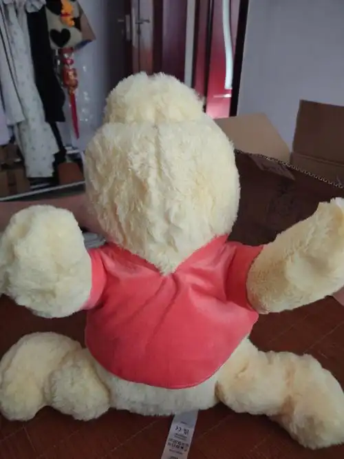 会劈叉的小熊好酷呀