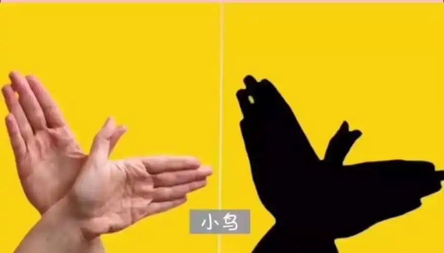 东城中心幼儿园大班空中课堂——趣味影子秀