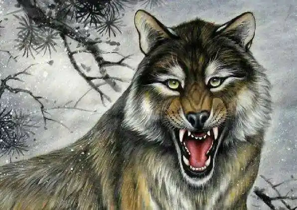 武汉面馆杀人:羔羊的尊严,恶狼的模样!