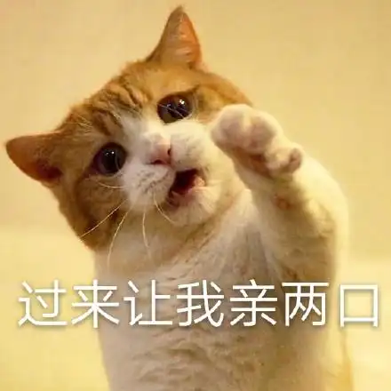 过来让我亲两口(猫咪表情包)_猫咪_两口_过来表情