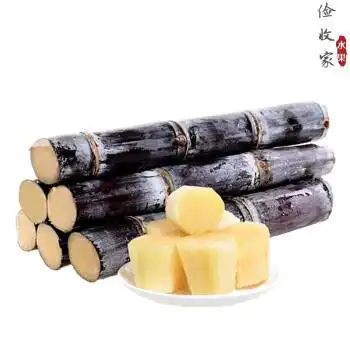广西黑皮甘蔗新鲜水果当季特产脆甜杆孕妇果蔗切段5斤装5斤