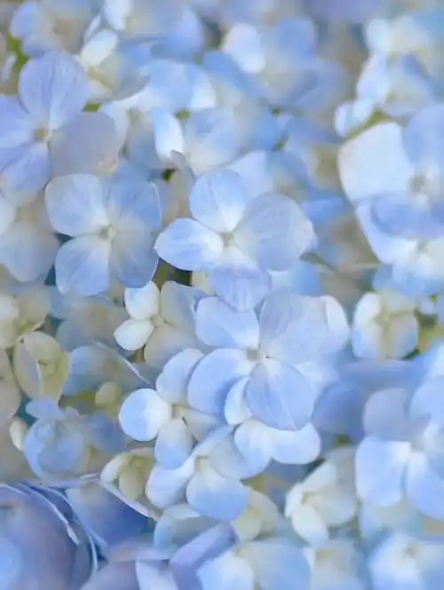 沉迷于淡蓝色且很清澈的时光