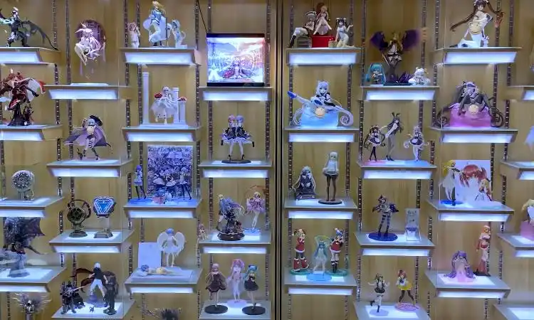 土豪花百万打造宅男梦幻屋,手办,游戏屋应有尽有,这才是快乐