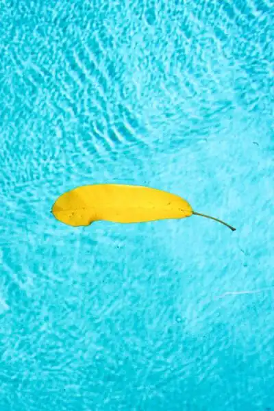 薄荷色是,又有点通透,的感觉. 有点绿,有点蓝,但都很淡,是.