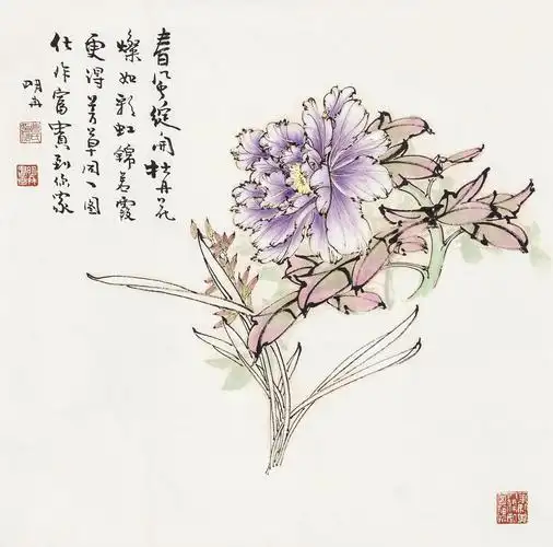 曹明冉 牡丹