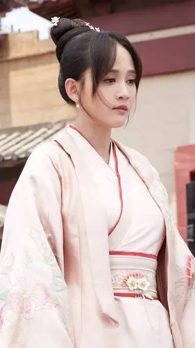 独孤皇后-独孤伽罗-陈乔恩饰