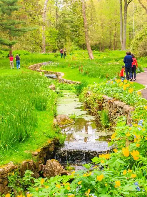 公园漫步,水渠边的遐想