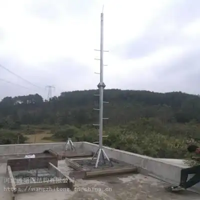 楼顶配重抱杆 附墙抱杆