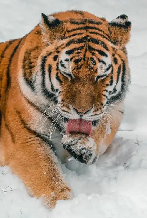 1024_1517竖版 竖屏