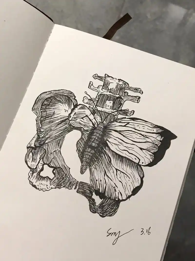 各种临摹.#黑白线描画 #临摹 #蝴蝶 #画画 - 抖音