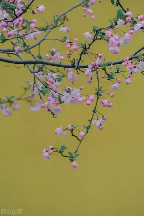 干净让人心静的高清图片,让人看了就静心的高清图片(50张唯美禅意风景