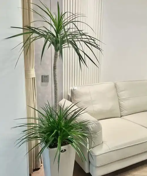 极简风装修的零零碎碎