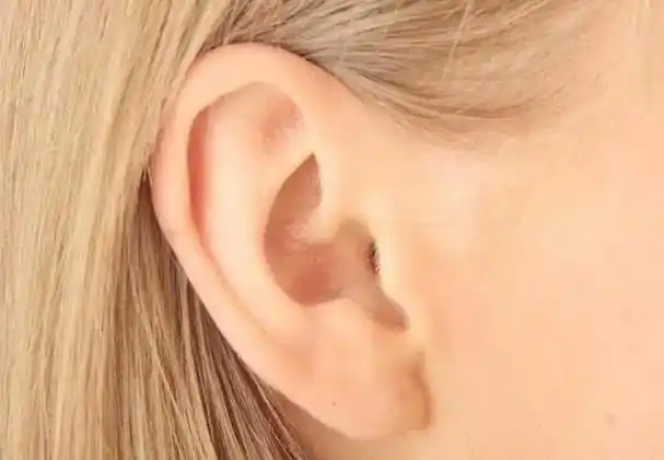 穷人耳富人耳有没有科学依据你属于哪种类型的耳朵呢