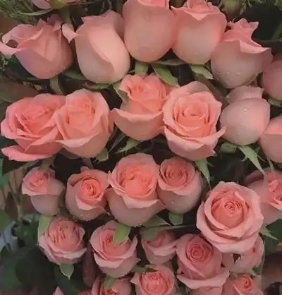 网红背景潮图片 - 堆糖,美图壁纸兴趣社区