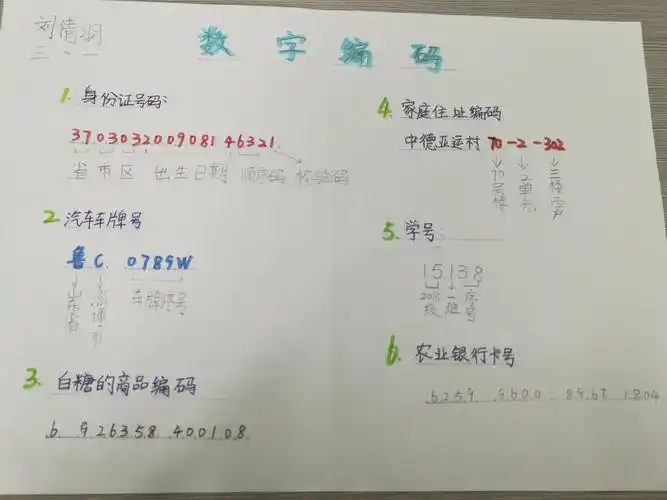 神奇的数字编码 ------三年级数学实践与综合应用 高倩