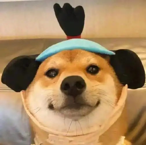 一组搞怪沙雕头像请签收