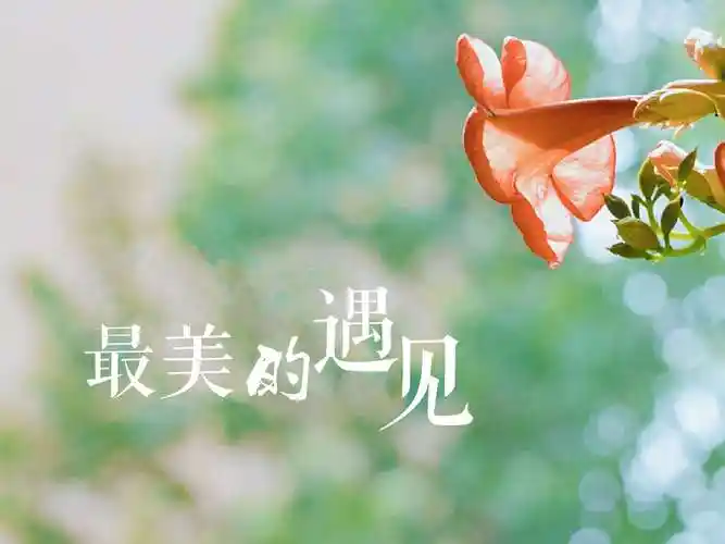 最美的遇见