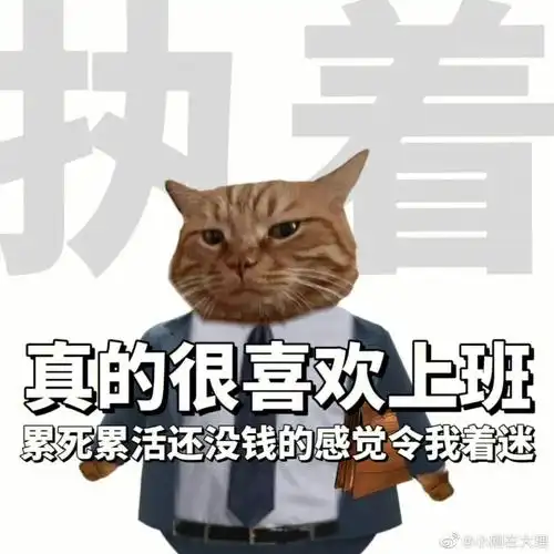 这个周罗老师甲流了, 我又忙到头掉, 工作一件一件一件的……|周罗