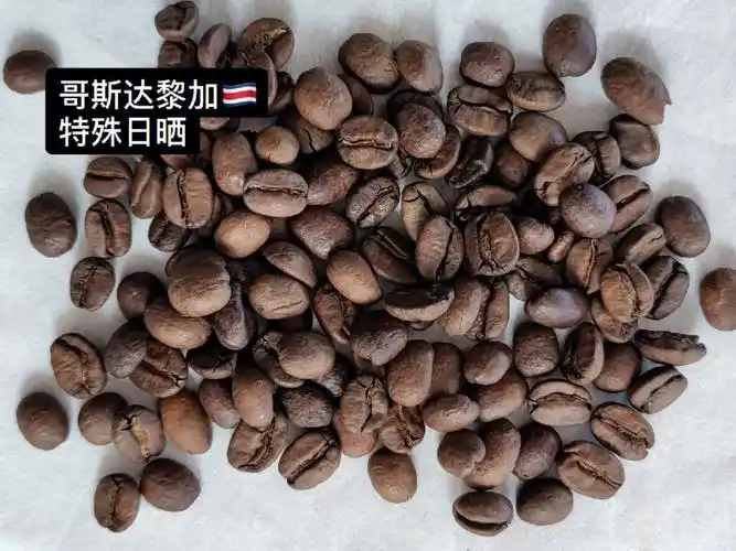 咖啡豆推荐之哥斯达黎加拉斯拉哈斯00