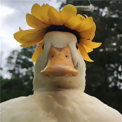 高级又沙雕的头像2023