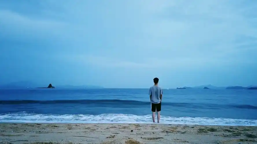 一个不会游泳的人来看海.