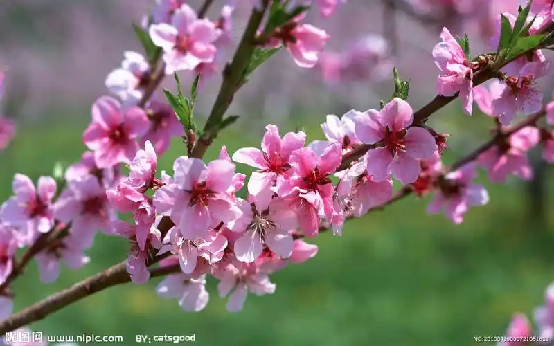 生内人来求我破库破财没错