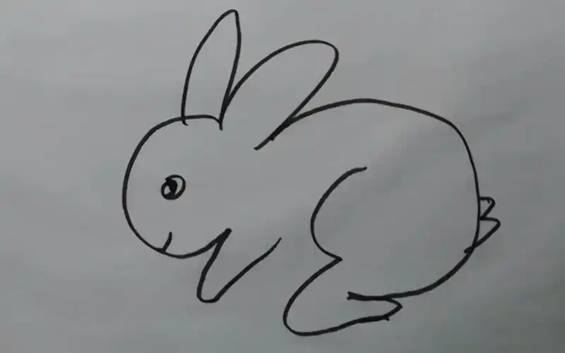 初学者绘画入门教程零基础简笔画