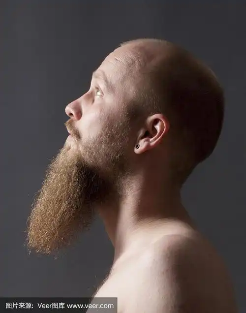 山羊胡,男人,垂直画幅,络腮胡子,褐色