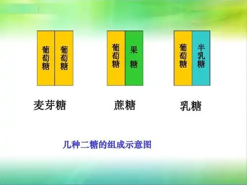 2014糖类和脂质ppt