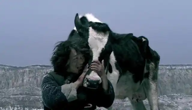 那些被遗忘的电影之《斗牛》