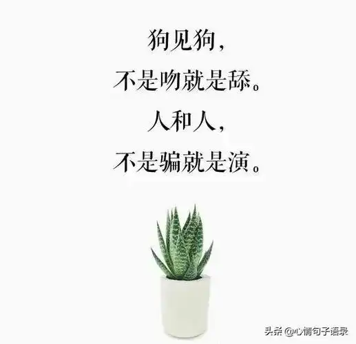 有道是人心最是柔弱,却也最为铁石,人前的称兄道弟,人后的虚情假意,谁