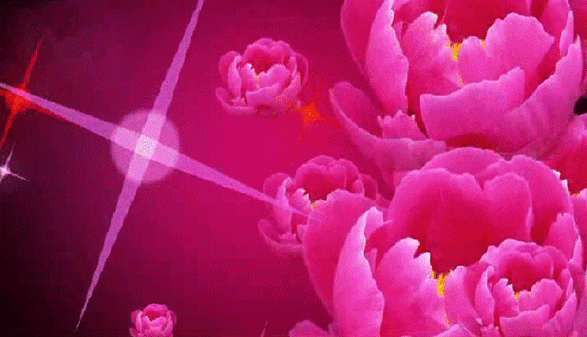 618_355gif 动态图 动图