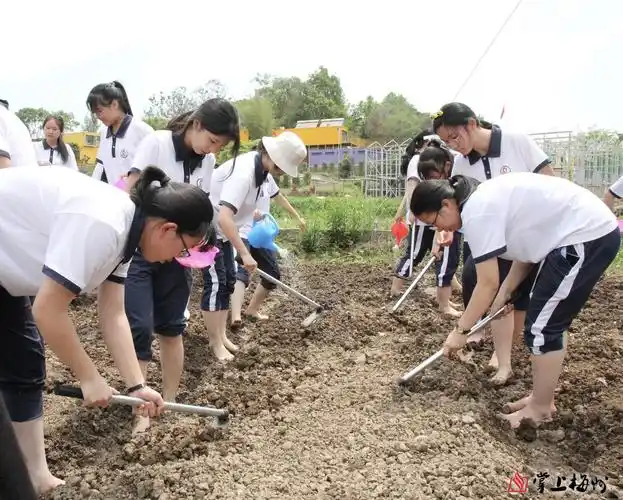 小课堂大社会让劳动教育成为全面育人的助推器