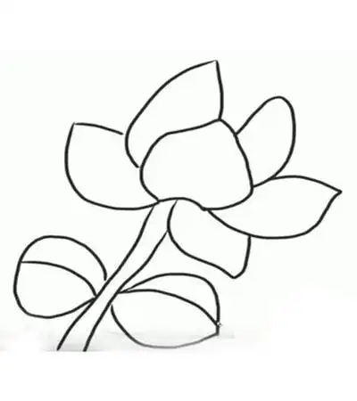 标签关键词简笔画茉莉花教程