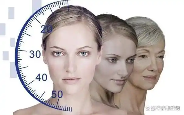 在日常生活中,我们经常会看到一些年轻的人看起来比实际年龄更年轻,而