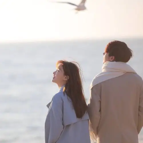 海边看海鸥头像