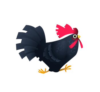 卡通手绘黑色母鸡