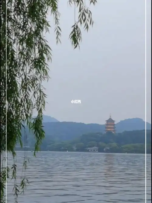 手机摄影杭州西湖