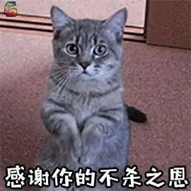 吃我一枪唐僧恶搞持枪唐长老gif动图_动态图_表情包下载_soogif