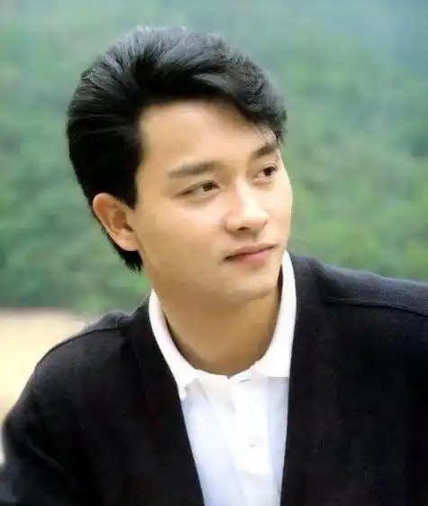 香港"最帅"的5位男明星刘德华第四, 张国荣第二, 第一太帅了