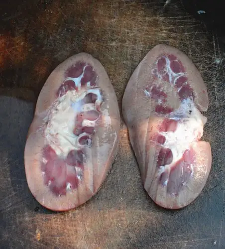 猪腰对半切开,用把较锋利的刀把里面白色的筋片掉,一定要清理干净