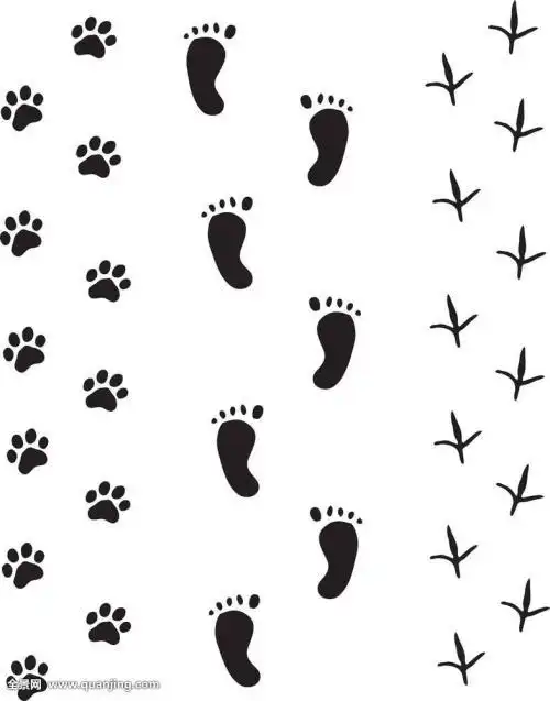 马及马的脚印简笔画
