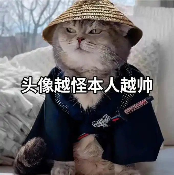 蓝猫图库 #优质头像  - 抖音