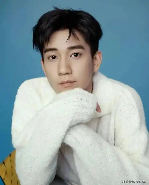 王源未婚有娃?秦岚人设翻车?黄子佼人渣行径?王子奇蹭热度被夸?